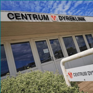 mobil dyrlæge ringsted