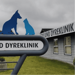 dyrlægerne på vestergade silkeborg