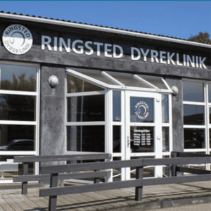 dyrlæge ringsted vestervej