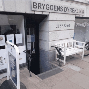 dyrlæge døgnåbent københavn