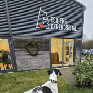 dyrlæge esbjerg priser