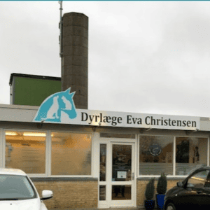 dyrlæge fuglebakken kolding