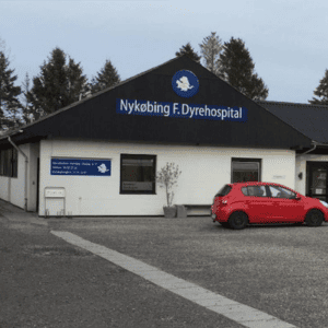 dyrlæge københavnsvej nykøbing f