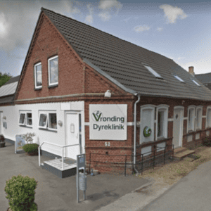 dyrlæge horsens kattesund