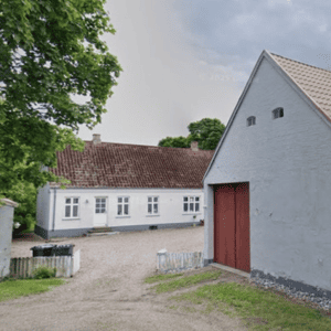 dyrlæge herning viborgvej