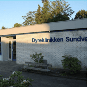 akut dyrlæge horsens