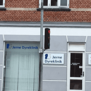 dyrlæge storegade esbjerg