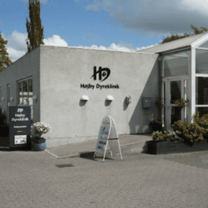 dyrlæge odense c