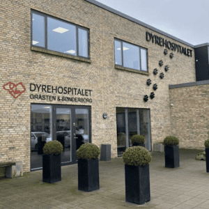 dyrlæge sønderborg gråsten