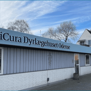 billig dyrlæge odense