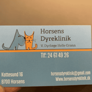 dyrlæge horsens priser