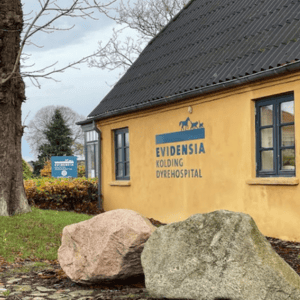 dyrlæge evidensia