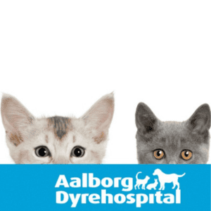 akut dyrlæge aalborg