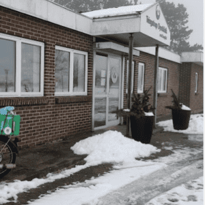 billig dyrlæge horsens