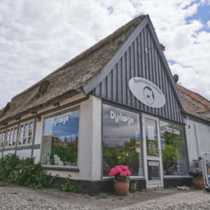 dyrlæge kirke hyllinge