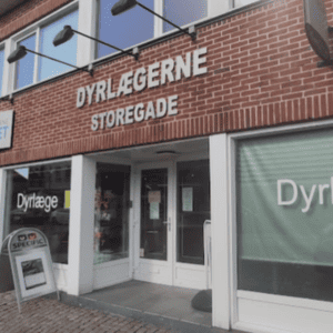 dyrlæge til fugle bramming
