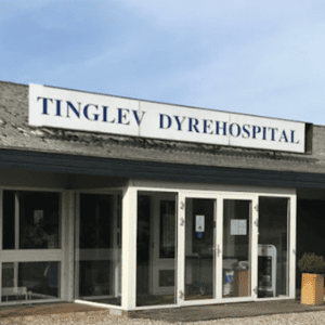 dyrlæge tinglev dyrehospital