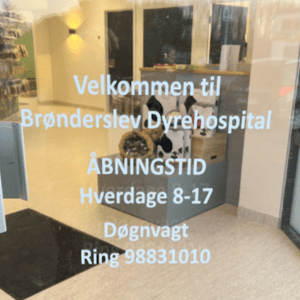 dyrlæge brønderslev brunder