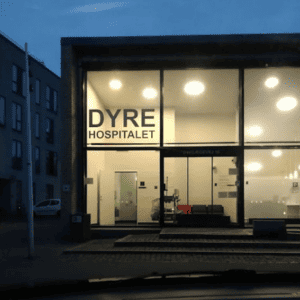 dyrlæge frederiksberg dyrlægevej