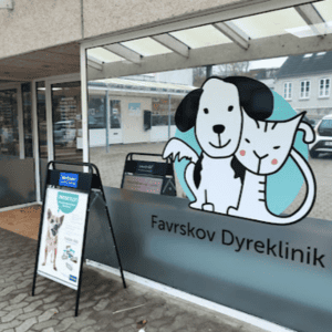 dyrlæge hadsten akut