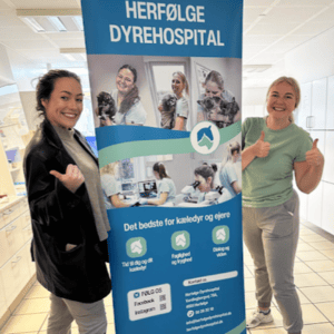 dyrlæge herfølge akut