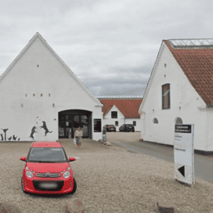 dyrlæge middelfart odensevej