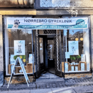 dyrlæge nørrebro akut
