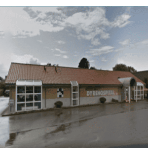 akut dyrlæge holstebro
