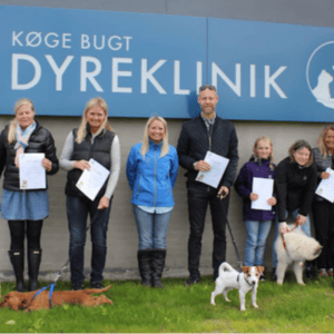 dyrlæge køge bugt