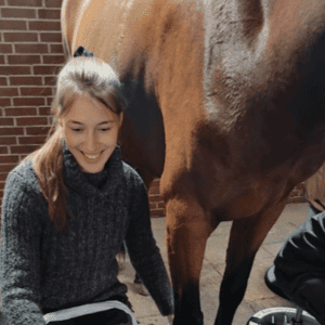 dyrlæge inga stamphøj sakskøbing