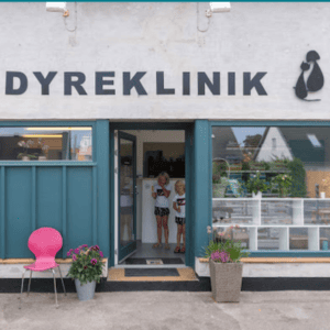 kørende dyrlæge stenløse
