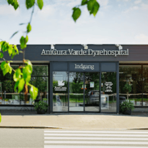 dyrlæge varde åbningstider