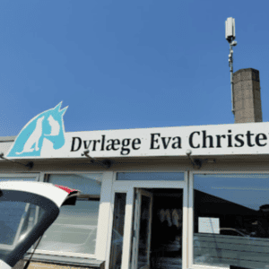 dyrlæge vinding vejle