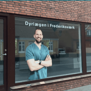 dyrlæge kat frederiksværk
