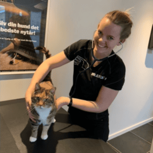 dyrlæge kat holbaek