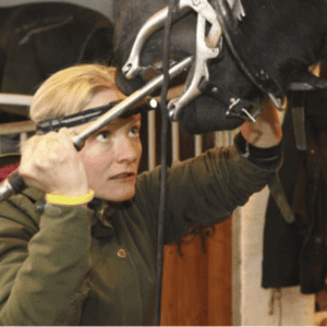 ringe dyrlæge hest
