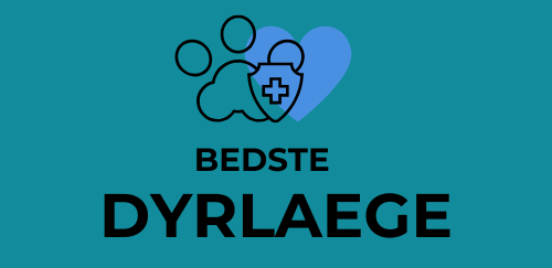 Bedste dyrlæge